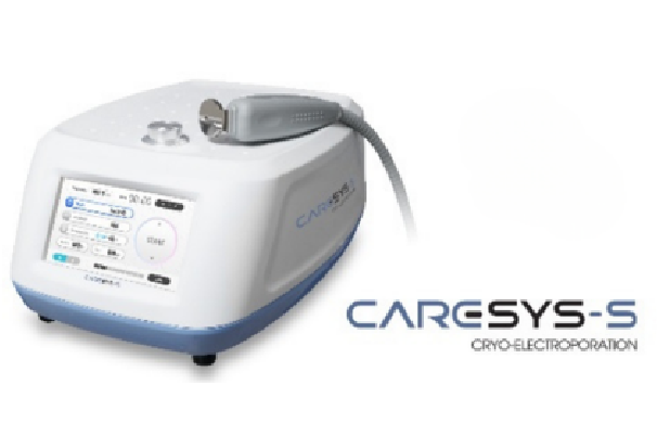caresys-s_point1